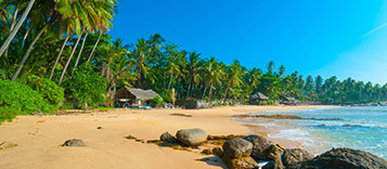 Тури на Шрі Ланку  2025